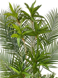 Gros plan sur les détails des feuillages, tiges de dracaena et palmes de la plante artificielle Panoramique Végétal