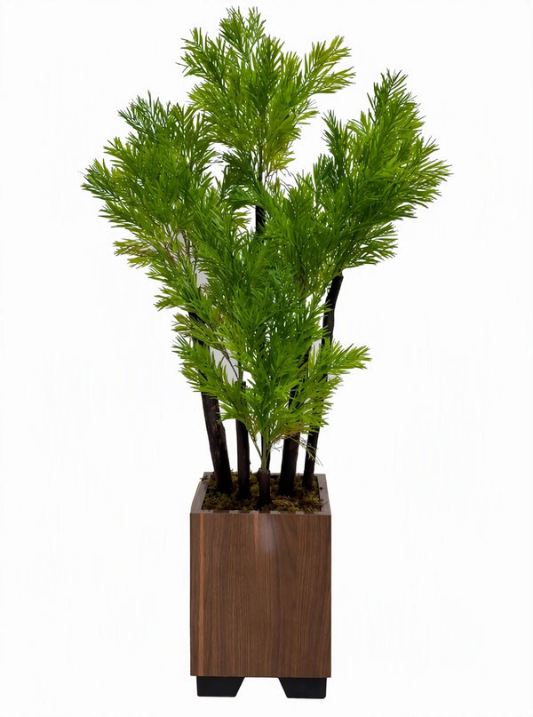Plante artificielle Podocarpus du Japon haut de gamme hauteur 145 cm et largeur 70 cm dans un bac carré artisanal en bois finition noyer pour décoration d'intérieur au Maroc