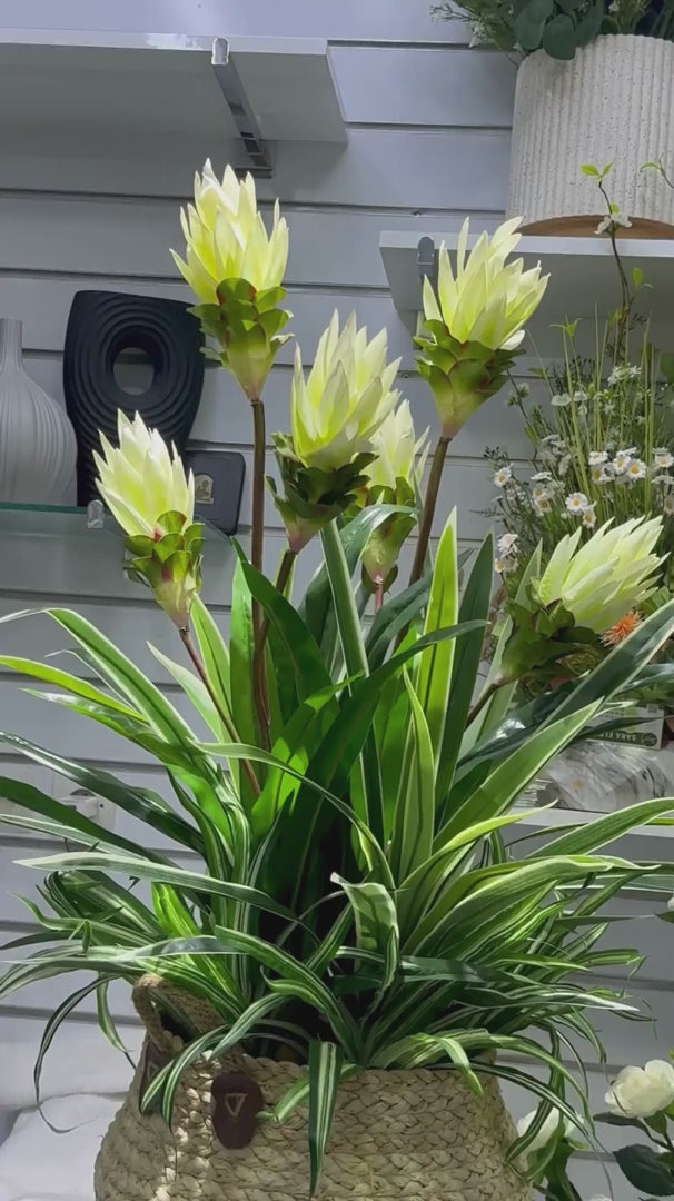 Vidéo 360° plante artificielle tropicale feuillage vert luxuriant réaliste – décoration intérieure Maroc