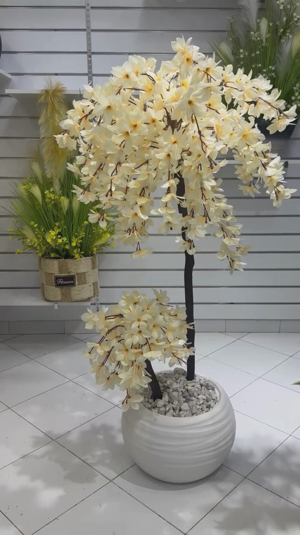 Arbre aux Fleurs de Soie artificiel premium avec fleurs ivoire réalistes dans un pot blanc design, présenté dans le showroom SaraFlora au Maroc.
