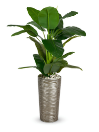 Studio photo d'un strelitzia artificiel dans un pot haut texturé sur fond blanc.