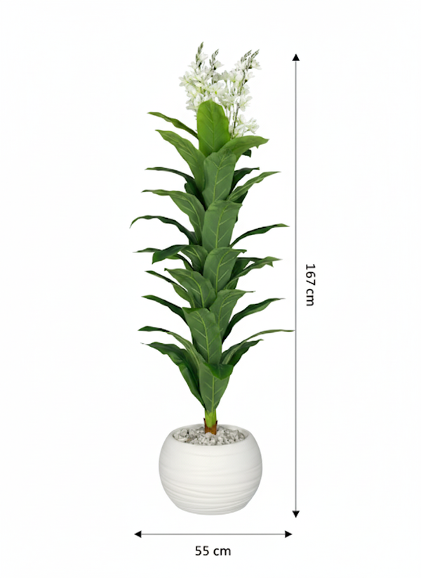 Fleur de Lune