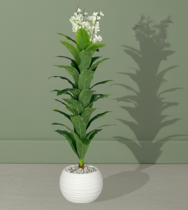 Fleur de Lune