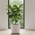 🌿 Plantes artificielles, élégantes et sans souci