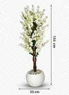 cerisier en fleurs