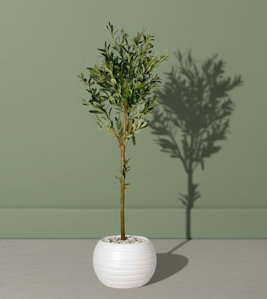 Olivier Méditerranéen