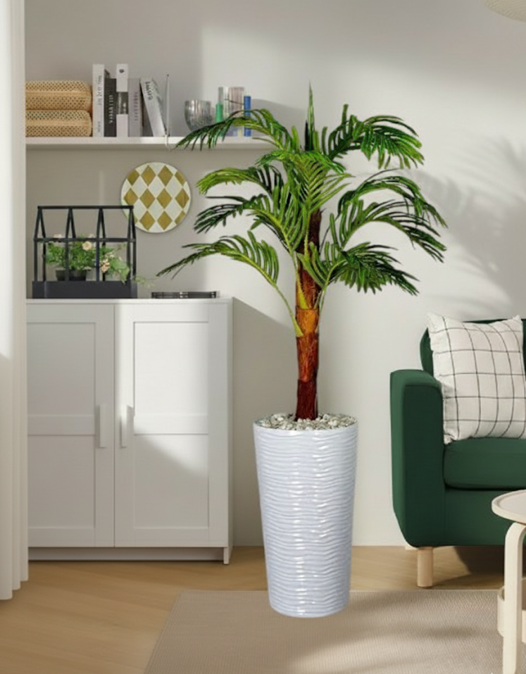 Plamier d'Areca
