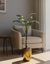 Plante Troopicale