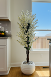 cerisier en fleurs