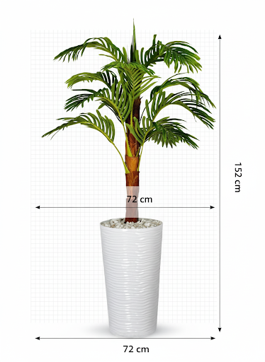 Plamier d'Areca