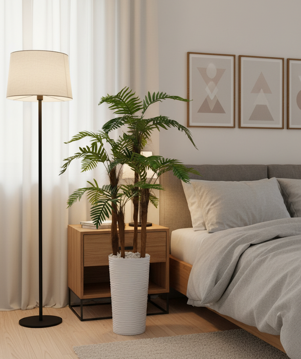 Palmier d'Areca